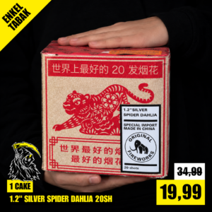 02 - SILVER SPIDER DAHLIA 20SH