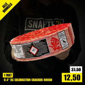 04 - 0.4_ XS CELEBRATION CRACKER 800SH