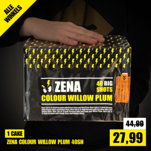 11 - ZENA COLOUR WILLOW PLUM 40SH
